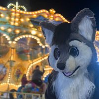 Chris Wolf 🐺🩶 (@chris_woolf14) 's Twitter Profile