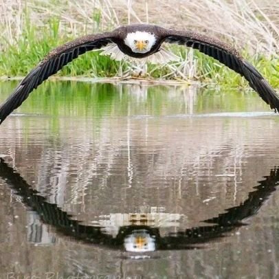 PachecaXx's profile picture. 