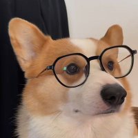 橙子🍊 (@orangesvanchan) 's Twitter Profile
