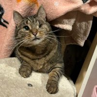 miss keisha 🍉 (@miss_weecha) 's Twitter Profile Photo miss keisha 🍉 (@miss_weecha) 's Twitter Profile Photo