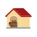 マゾフェチAV「犬小屋」 (@doggiehouse_jp) Twitter profile photo マゾフェチAV「犬小屋」 (@doggiehouse_jp) Twitter profile photo
