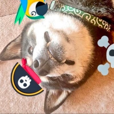 iDeCoNISAインデックス米国株✨🐳👑 ブロックチェーン🐾🐶Symbol冗長化ノード含めメイン3つ、テスト1つ運用中 🦾🔥🔥【永遠のライバル💖@darling_pi_💖】 【🎥#まめしばラボ】【#週刊しんぼる】【暗号通貨のタッチ決済端末 #CryptoPiTouch 広報担当】