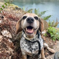 Chef von Bea 🐶 (@chef4bea) 's Twitter Profile