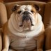 The TV Grump (@thetvgrump) Twitter profile photo The TV Grump (@thetvgrump) Twitter profile photo