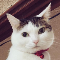 松村早希子📕文フリM-58 (南1-2ホール) (@sakiko427) 's Twitter Profile Photo 松村早希子📕文フリM-58 (南1-2ホール) (@sakiko427) 's Twitter Profile Photo