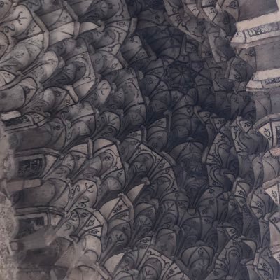 noveinn's profile picture. 