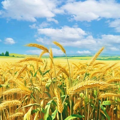 MBearing26101's profile picture. Bearing