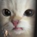 Jule (@jule79690217091) Twitter profile photo Jule (@jule79690217091) Twitter profile photo