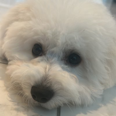 kki_ykik's profile picture. 