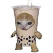 fusillitomato's profile picture. 