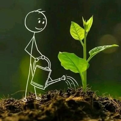 APDE: Association des Paysans Pour le Développement de L'environnement.