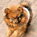 KM Chan (@chan226624) Twitter profile photo KM Chan (@chan226624) Twitter profile photo