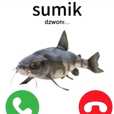 RadekHajduk11's profile picture. 