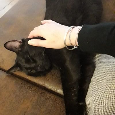 CaLyEnOl's profile picture. 