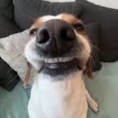 flaguinn's profile picture. fn player 
2k prw