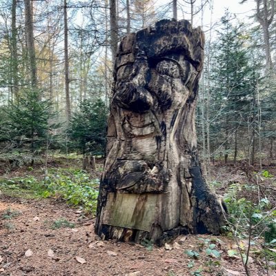 puur natuur. back to basic. no nonsense. leest vooral. soms een retweet.