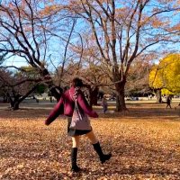 たなかみほ (@mfmaron_zzz) 's Twitter Profile