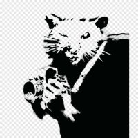SwampDrainer2025 (@swampdrainer25) 's Twitter Profile