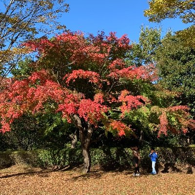 aL9r2bCDKu85671's profile picture. 3人のママ👩　食べること😍　旅行✈️ お菓子作り🍪　ディズニー🐭　ユニバーサル🌏　ドライブ🛣️　まいにち楽しく♪ 宜しくお願いします😍