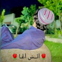 انس اغا (@ans_agha74130) 's Twitter Profile