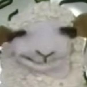 lunamoona32's profile picture. 28.