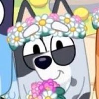 Daily Muffin (@daily_muffy) 's Twitter Profile Photo Daily Muffin (@daily_muffy) 's Twitter Profile Photo