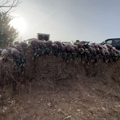 Hunter Little Profile