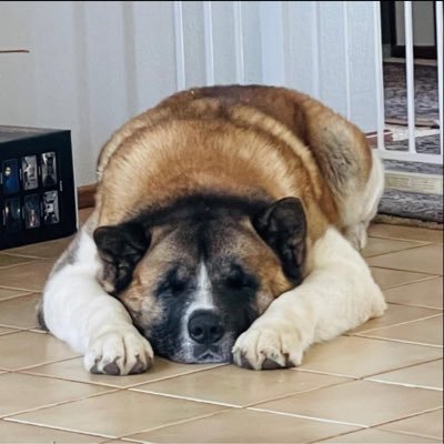lezlie76423082's profile picture. 