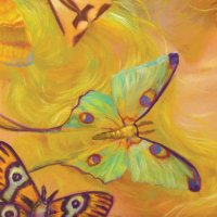 DonatoArts (@donatoarts) 's Twitter Profile