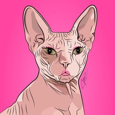 Crypto Enthusiast & Web3 girl $SOL| SBTC| Meme Tokens Fan | 💼 open for Collaborations & Promotions
