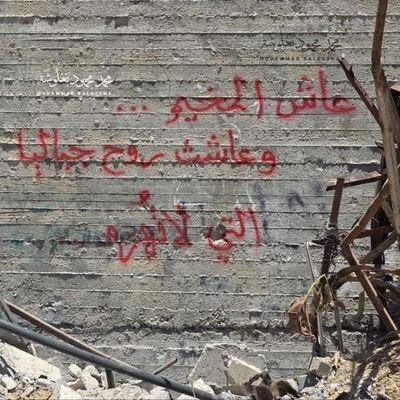 🇵🇸A woman born in Palestine
Please share and donate to support my campaign ☺️