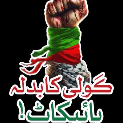 Kingkha12982410's profile picture. 
