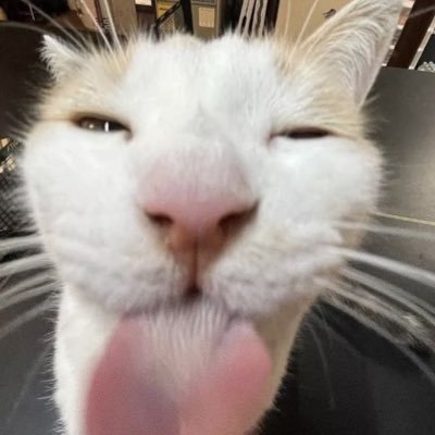 賞金首さんのプロフィール画像