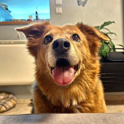 Avavav54232's profile picture. 