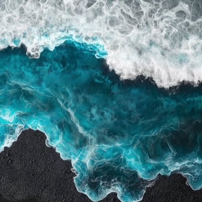 queerqx's profile picture. 