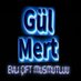 gül_mert (@glmertask) Twitter profile photo gül_mert (@glmertask) Twitter profile photo