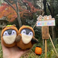 もりあ (@yakou5714) 's Twitter Profile