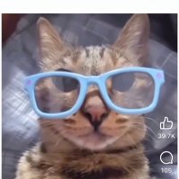 Elaine (@curiouser84) 's Twitter Profile