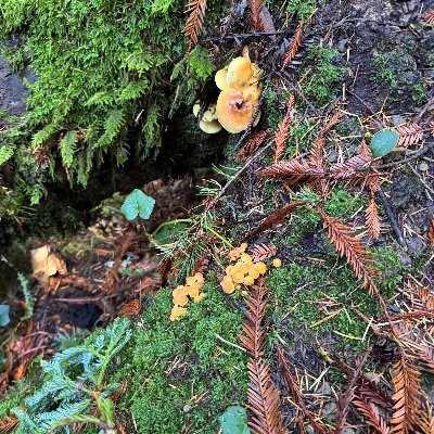 AlexGarcia94748's profile picture. 