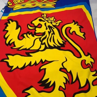 zaragocista hasta la medula. Padre a jornada completa. Cebollon Mckey is back.Qué bonito es ser aficionado del mejor club del mundo. 💙🦁