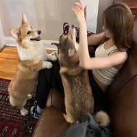 Kyle Murphy (@rap6g75dmn2fdo5) 's Twitter Profile