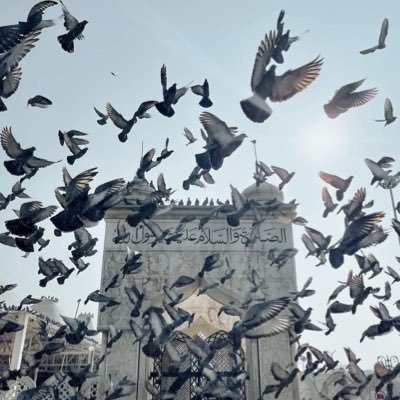 omomar2050's profile picture. 