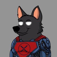 xrp lover $NOX (@networkwhale) 's Twitter Profile Photo