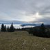 Stauffer-Paulos Didier (@staufferpaulosd) Twitter profile photo Stauffer-Paulos Didier (@staufferpaulosd) Twitter profile photo