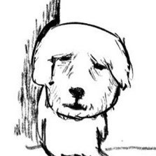 dou_lwer's profile picture. 성인 | ◻️◼️광시러 🔄❌️, all◼️ | 그림그립니다
타장르계 @dou_l_wer