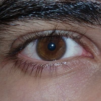 makanowske's profile picture. اگر کُشــت خواهــد تو را روزگــار؂چــه نیکــو تر از مـرگ در کـــار زار