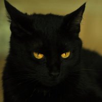 Lex1v69🇸🇦 (@olexzin) 's Twitter Profile Photo