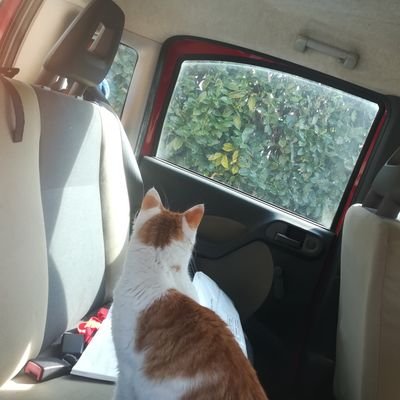 VivianaCon93878's profile picture. 