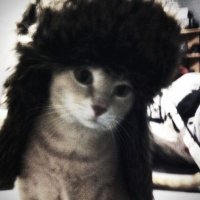 ray⁷ (@__sunlittle__) 's Twitter Profile