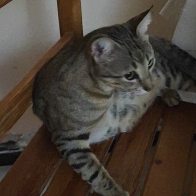 remila29590599's profile picture. رضيت بالله ربا وبالإسلام دينا و بمحمداً صلى الله عليه و سلم نبيا و رسولا